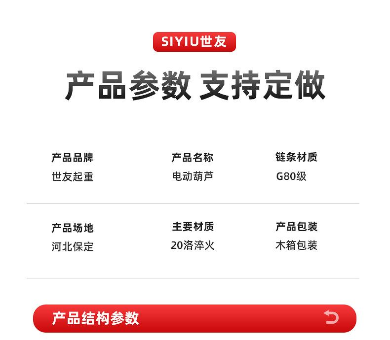 DHS环链电动葫芦详情 (4).jpg