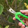 Tijeras para Recolección de Uvas Transfronterizas, Tijeras de Podar de Acero Inoxidable, Tijeras para Flores de Rosa y Verduras, Tijeras para Ramas de Jardinería