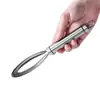 Ferramenta Raspador de Escamas de Peixe em Aço Inoxidável para Uso na Cozinha, Removedor Manual de Escamas de Peixe, Gadget de Remoção de Escamas de Peixe para Cozinha