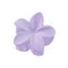 Acessórios de cabelo transfronteiriços flor de ovo feminina fosco cruz pequena garra arco rabo de cavalo garra clipe cor nuvem oca