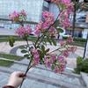 Nova Flor Lilás Simulada Textura de Galho Alto Roda-Gigante Hortênsia Glicínia Salão de Casamento Decoração Suave Decoração de Casa Hotel Flor Artificial