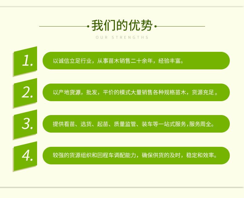 11132739731_1794264659