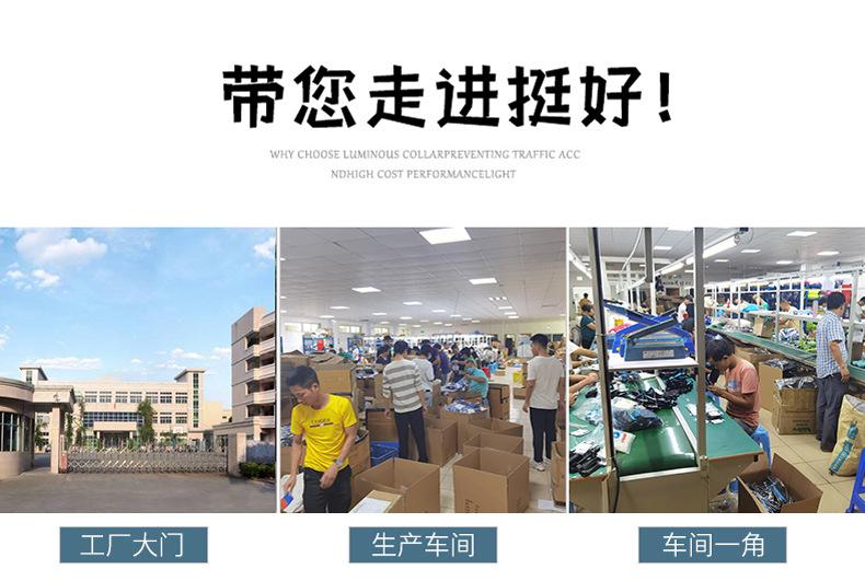 宠物发光吊坠-98918498_12.jpg