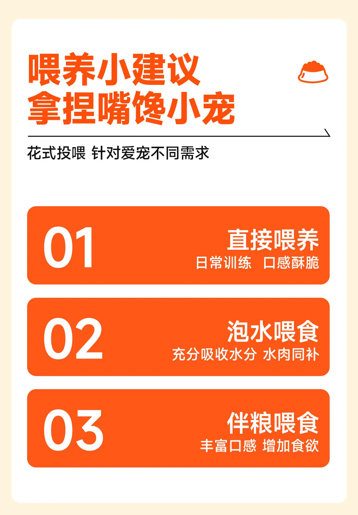 乌龟_06.jpg