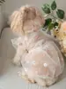 Vestido universal para mascotas para gatos y perros, margarita bordada de organza, mangas cortas acampanadas, vestido romántico, accesorios para mascotas para perros pequeños