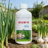 Bactericida de Cebola, Gengibre e Alho, Fungicida Microbiano Resistente a Doenças Especificamente para Cebolinha, Eficaz Contra Folhas Amareladas e Podridão das Raízes