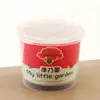 Frijol Cortado en Cubos Maceta Hierba para Gatos Planta Verde Semilla Ciega Guardería Niños Girasol Fresa Flor Semilla Plantada a Mano Regalo