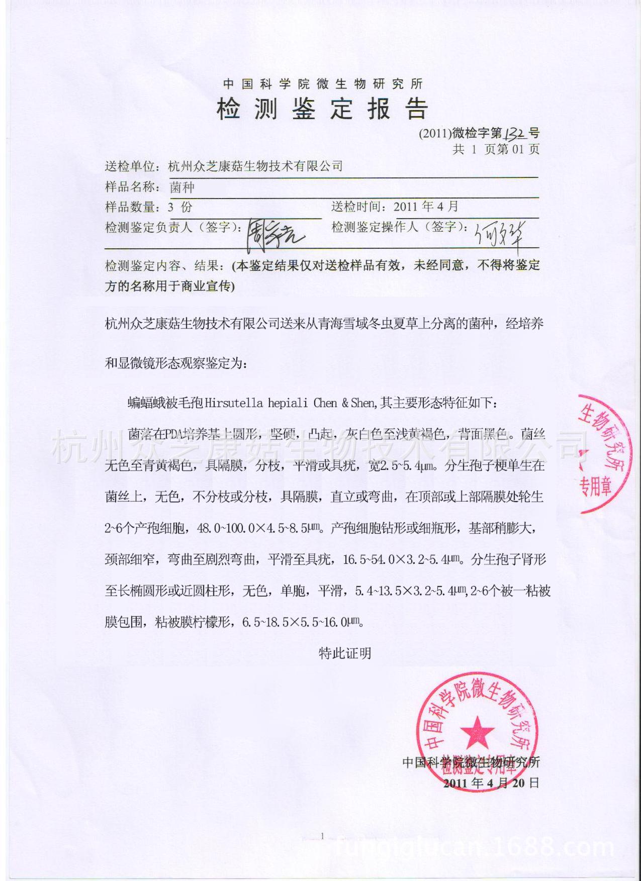 中科院菌种鉴定报告-虫草dd