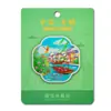 Ímã de Geladeira Original de Folha de Alumínio Wuxi Buda de Ling Shan Yuantouwu Rua Nan Chang Adesivo Magnético Lembrança de Presente Cultural e Criativo