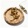 Moda Europeia e Americana Simples de Alta Qualidade Broche Tulipa Versão Coreana Versátil Liga de Zinco com Imitação de Pérola de Concha Broche para Terno Acessório de Roupa