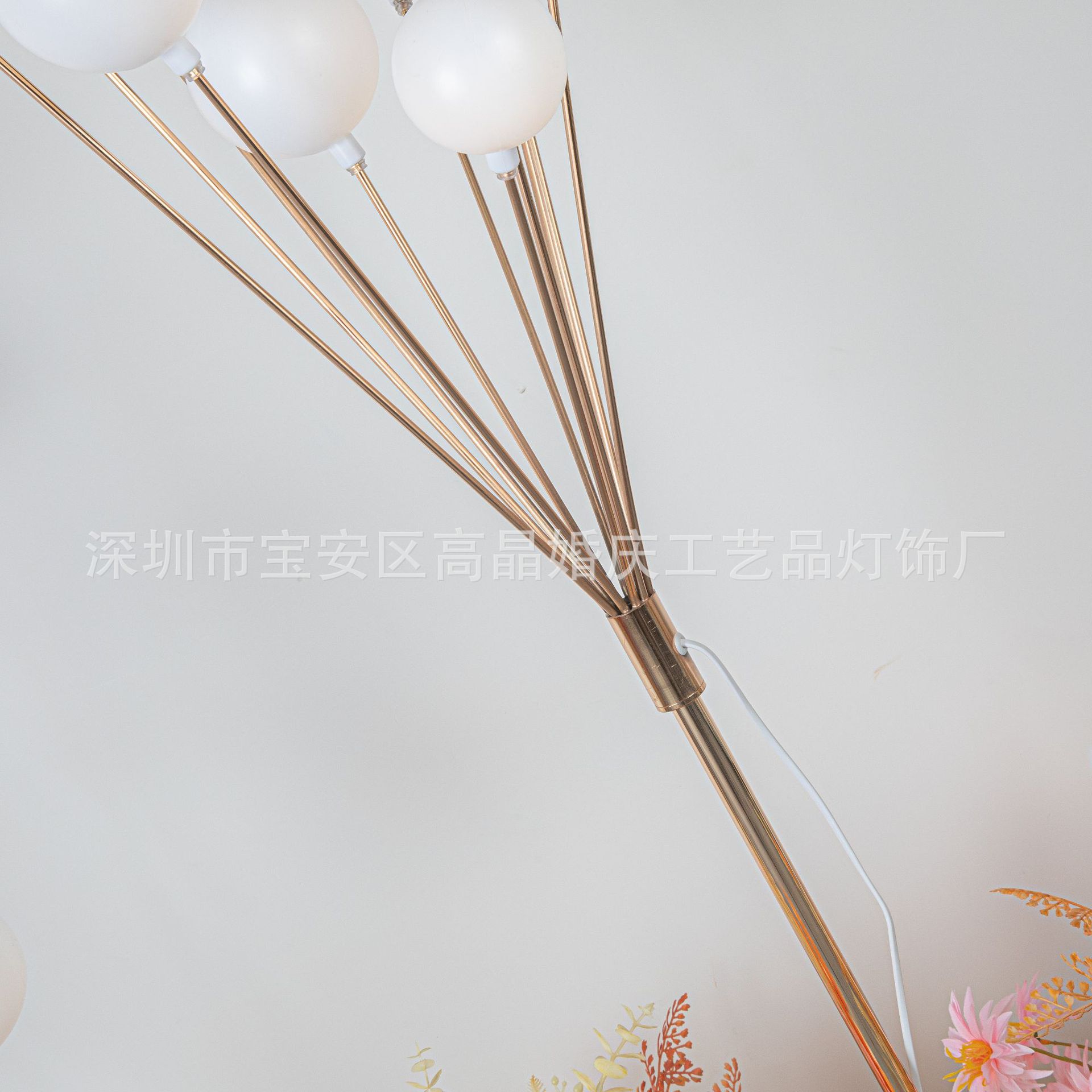 五郎传媒-2531_WPS图片