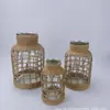 Vaso de Vidro para Plantas Secas Rede Protetora Tampa para Decoração de Mesa em Casa Tampa de Garrafa de Palha Natural Pode Ser Exportado para Exportação e Exportação