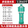 Bomba de Agua para Personas Bomba Sumergible Multietapa Ratón Pequeño Shanghai Alto Levantamiento Gran Flujo 220V Bomba para Pozos Profundos 380V Bomba de Agua