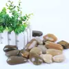 Pavimento de adoquines Five Jin, piedra de flor de lluvia, piedra original, pecera natural, paisajismo, decoración del hogar, jardín, piedra blanda de ganso, patio