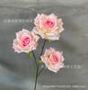 3 nuevas rosas Manta simulación de boda decoración floral suave diseño de espacio rosa fábrica mayoreo