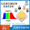 6-60W espectro completo COB lámpara perla planta luz de relleno fotografía luz de relleno simulación luz solar alta potencia cobLED perla de lámpara