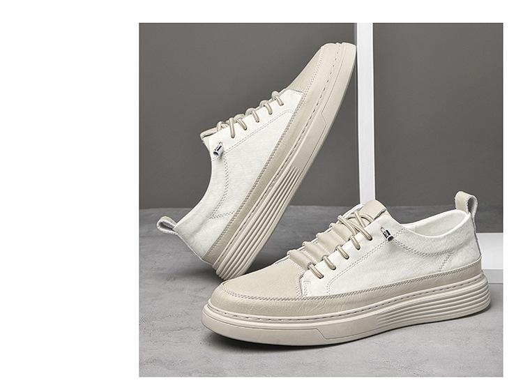 01-2_17.jpg?x-oss-process=image/format,png