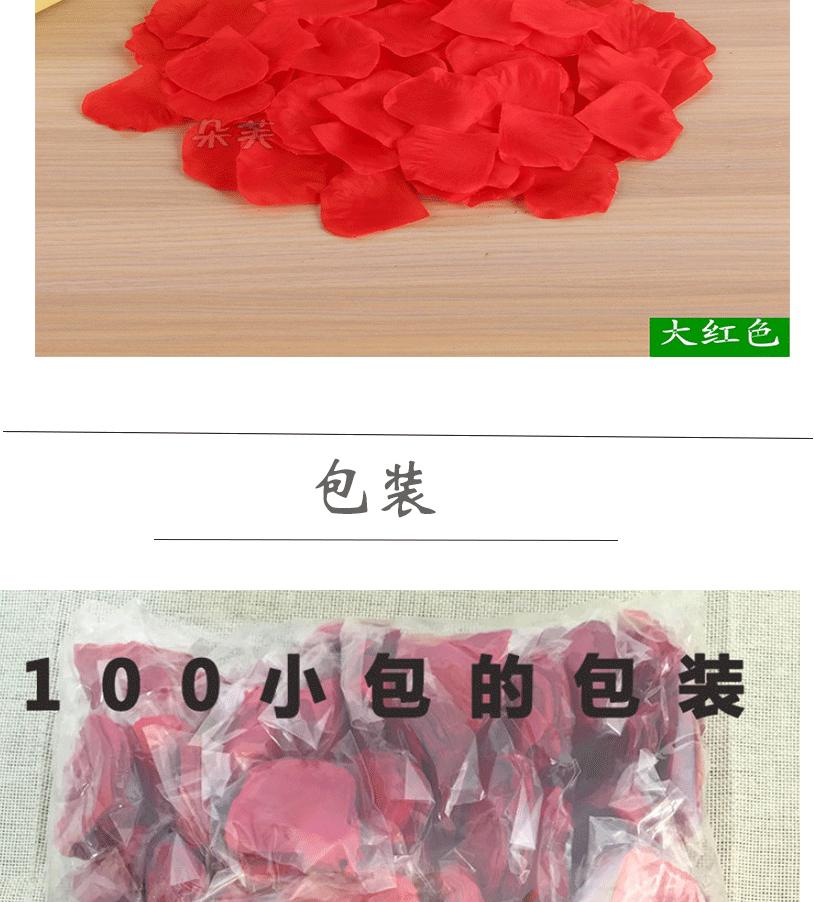玫瑰花瓣_08