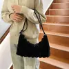 Bolsa de pelúcia nova para o outono/inverno de 2026, chapéu peludo da moda, bolsa transversal, bolsa simples estilo coreano para mulheres