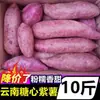 Camote morado dulce de Yunnan, verduras frescas, camote dulce miel Yanshu, camote de campo arenoso, camote de castaña, camote cultivado en granja