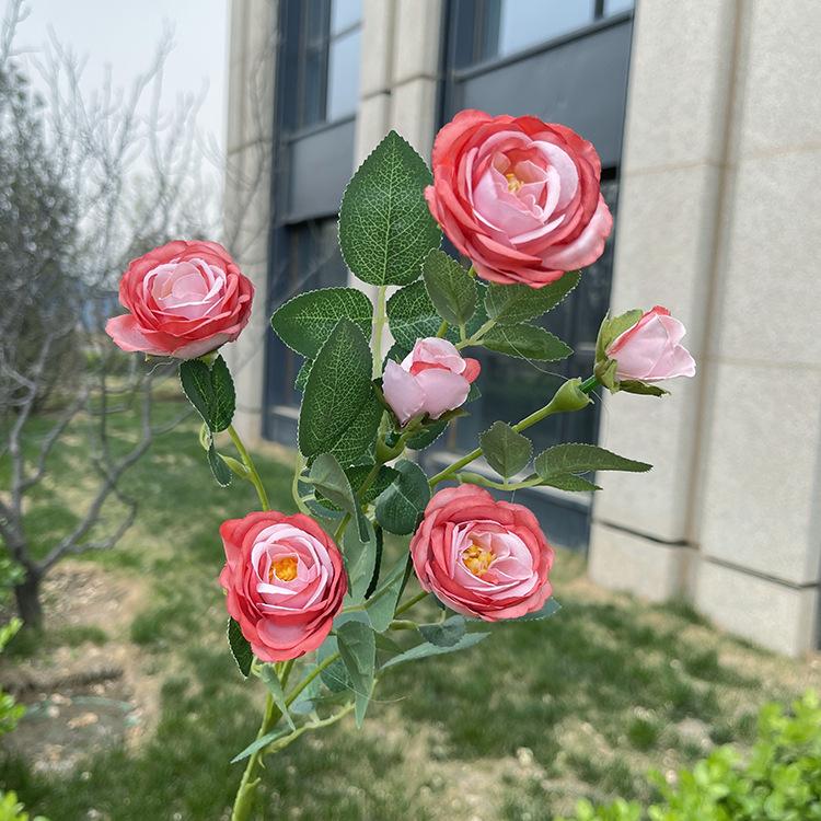 6头花蕊小玫瑰-sxlzjx-粉心红.JPG