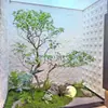 Planta Verde Artificial Leucothoe Planta para Escaparate Paisaje de Plantas Decoración de Interiores Hotel Villa Árbol Artificial Grande Paisajismo de Oficinas