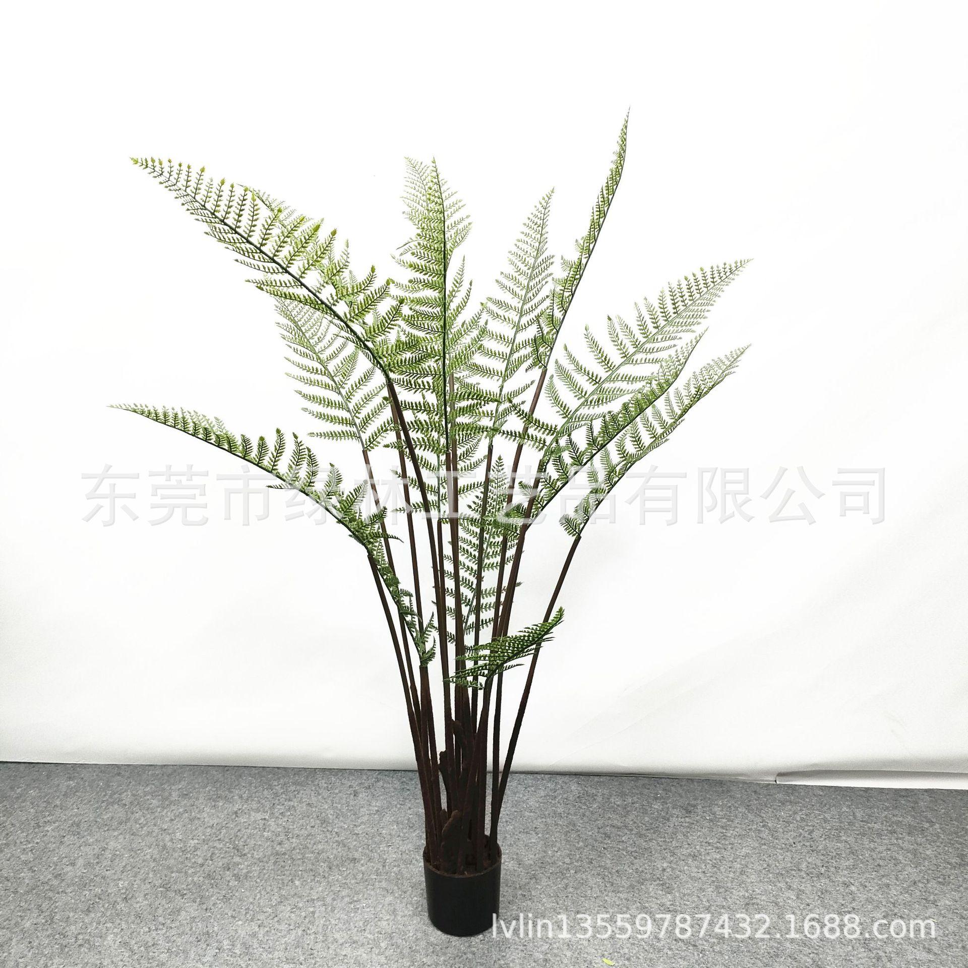 高150cm