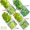 Kit de Unhas Verdes Transfronteiriço 12 Cores Misturadas Lantejoulas para Nail Art Laser Pó Escarlate Joias para Nail Art Broca Adesivo para Unha