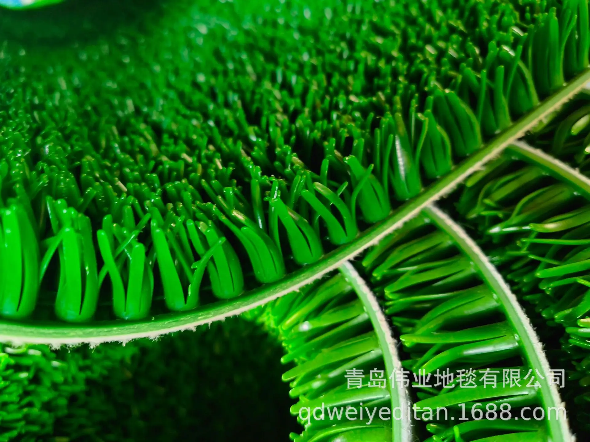 IMG20230909153721.jpg