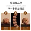 Pulsera Pequeña de Bodhi Vajra de Calidad Premium para Hombres, Círculo Doble Zodiaco Cuentas de Mano para Jugar, Cuentas de Nogal Natural, Cuentas de Oración Budista, Artículo Coleccionable