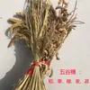 Decorações Agrícolas, Espigas de Trigo, Flores Secas, Espigas de Arroz, Sorgo, Painço, Caules de Gergelim, Galhos Secos, Buquês de Flores, Arranjos Florais, Adereços para Festa da Colheita