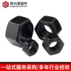 Tuerca Grado 8.8 Industria Química Gb6175 Anticorrosión y Antióxido Alta Resistencia Tuerca Oxidada Negro Tapa de Tornillo Hexagonal Exterior
