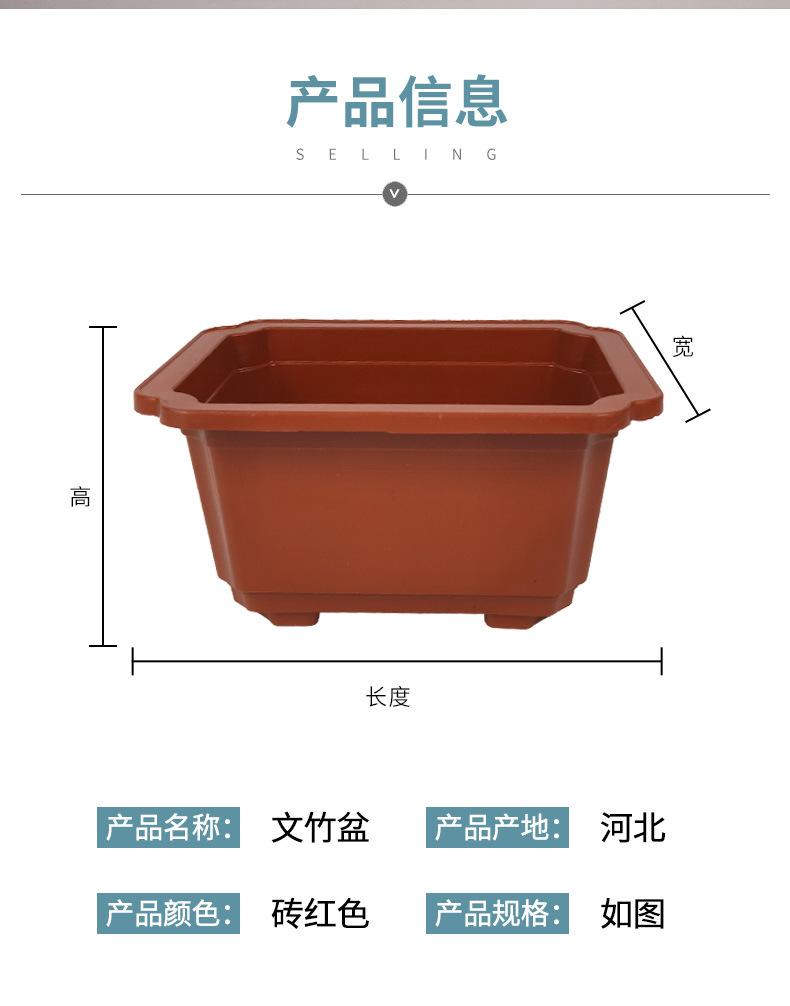 详情1