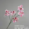 Orquídea Phalaenopsis de 5 Flores Impresa en 3D Flor de Orquídea Mariposa Simulación Decoración del Hogar Adorno de Arreglo Floral Accesorio para Escena de Boda Flor