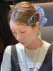 Estilo Influencer Coreano Accesorio para el Cabello Azul Denim Pinza para el Cabello con Forma de Corazón para Mujer, Pinza Lateral para Flequillo, Pinza Bb para la Parte Posterior de la Cabeza