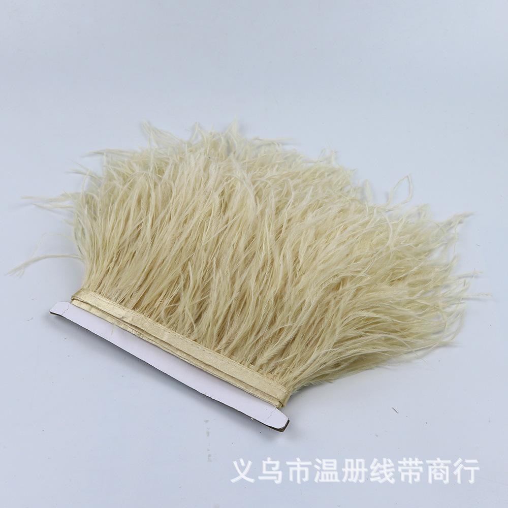 46 ostrich feather fringe 2