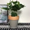 Cinza Respirável Cerâmica Vermelha Bandeja Carnuda Vaso de Flores Cerâmica Interior Vaso de Lama Vaso de Telha Pote de Barro