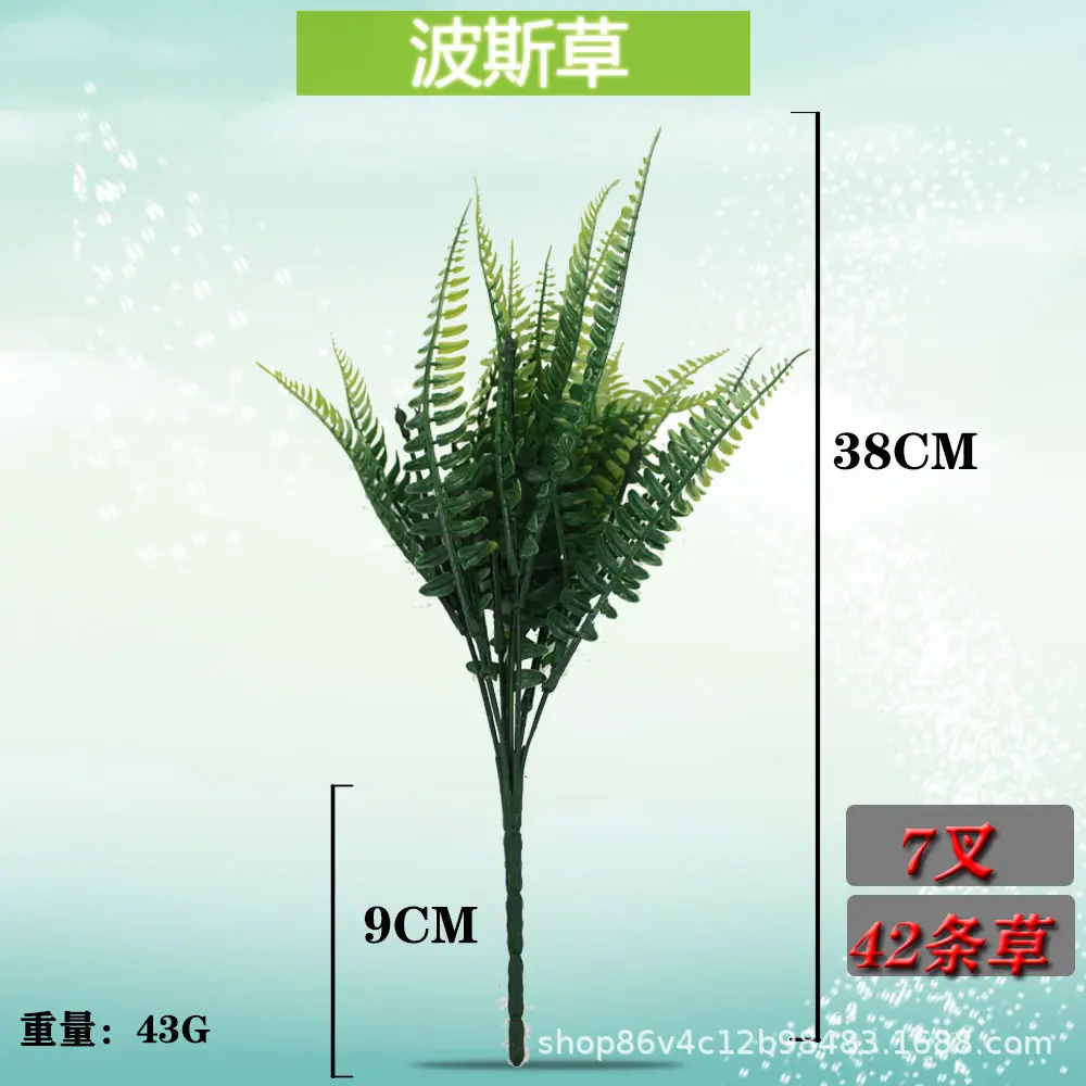 波斯草