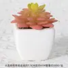 Suculentas Simuladas Personalizadas Cerámica Bonsái Plantas Verdes Escandinavas Adornos Hogar Interior Sala de Estar Flores Falsas Suculentas Plantas en Maceta