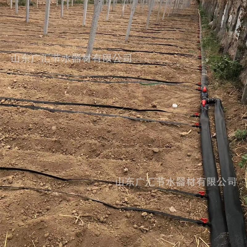 滴灌带性情图7.jpg