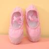 Zapatos de Baile para Niños y Niñas, Zapatos de Práctica de Suela Suave, Garras de Gatito, Sin Cordones para Hombre, Danza China de Figuras, Zapatos de Baile de Puntera de Cuero para Ballet