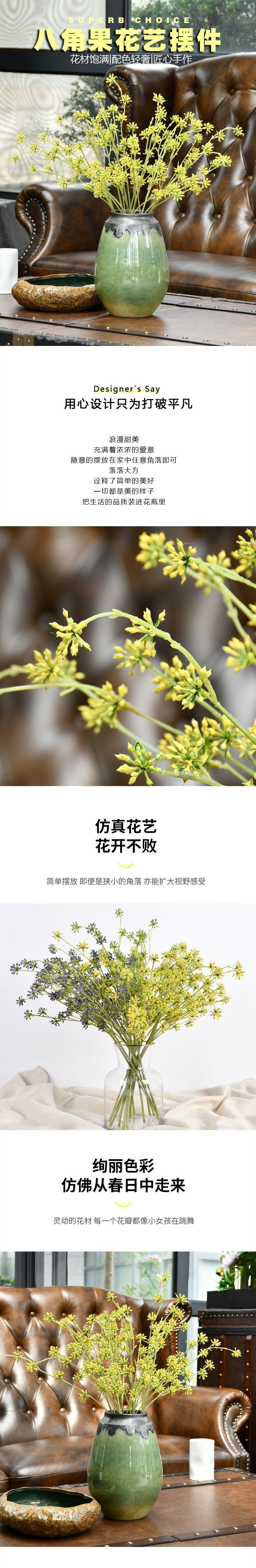 紫颜八角果1