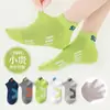 Calcetines para Niños Niños Algodón Puro Calcetines de Media Pantorrilla Primavera y Otoño Nuevos Dibujos Animados Dinosaurio Niños Niños Medianos y Grandes Calcetines para Niños Sin Costuras