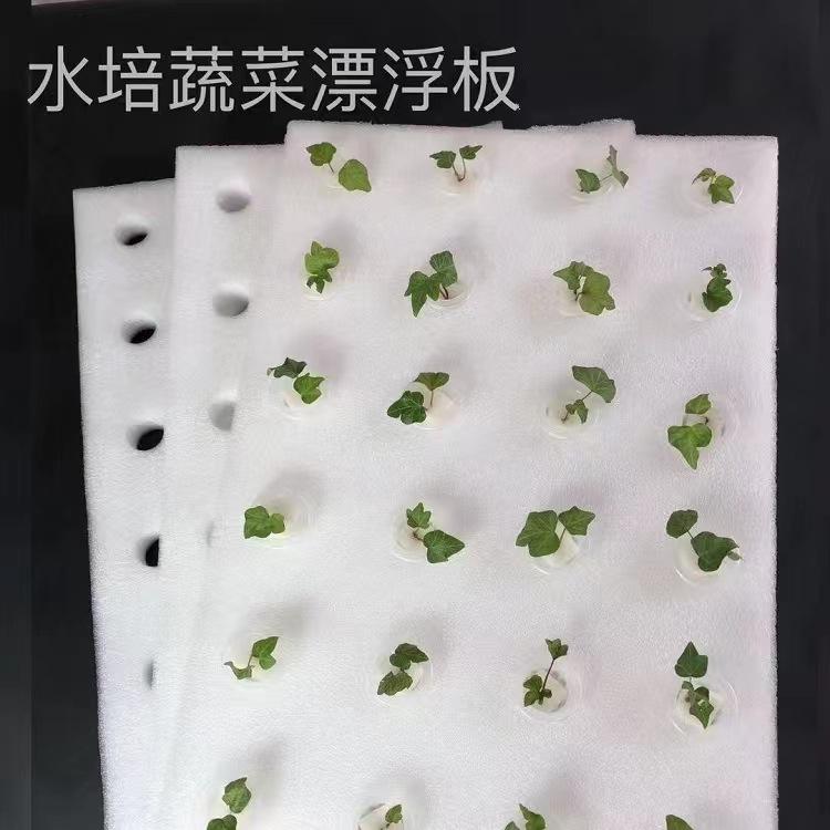 微信图片_20220507213911