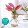 Planta em Vaso Vermelho Geely, Planta Verde Ruyi Rainha Elefante Branco Hidropônica, Planta de Folha Decorativa para Mesa de Escritório, Flor Fácil de Cuidar