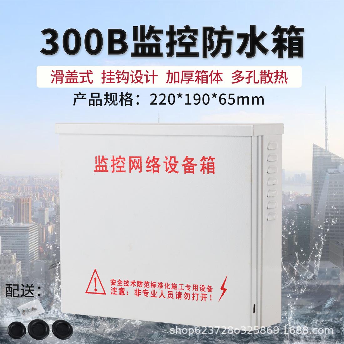 300B.jpg