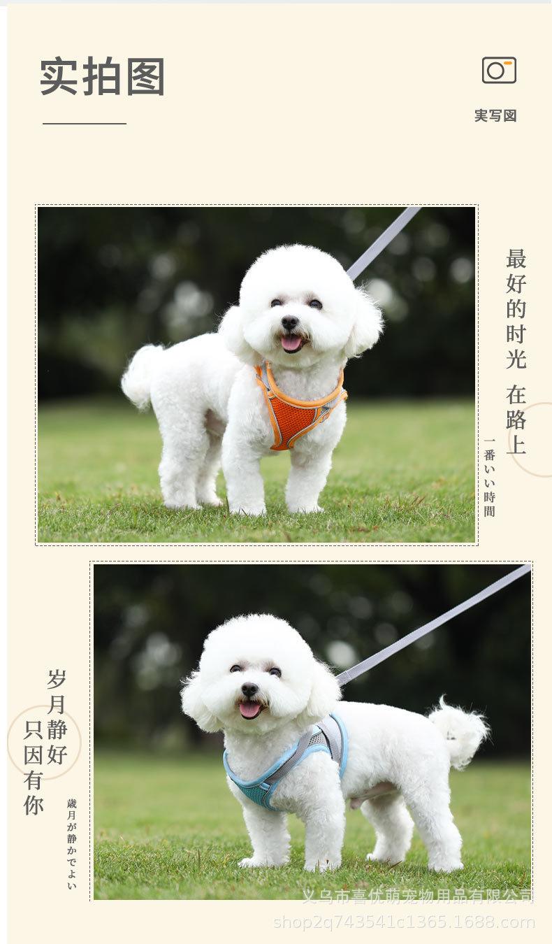 狗绳_09.jpg