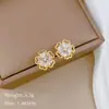 [Aço titânio] Colar de Flores Ocas Brincos terno Luz Luxo Micro-incrustado Personalidade Elegante Banquete Brincos Combinação de Colar