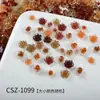 Accesorios para Uñas Maillard de Otoño e Invierno Color Mixto Resina Color Café Hielo Transparente Moño Camelia Accesorios para Uñas Portátiles