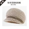 Gorro de punto para mujeres de mediana edad y ancianas, otoño e invierno, con felpa y engrosado para abrigar, gorro de lana, madre, abuela, señora mayor, protección contra el frío, gorro con protección para los oídos